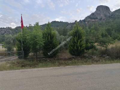 Serik Akbaş Satılık Zeytin Bahçesi Ve Prefabrik Ev 12