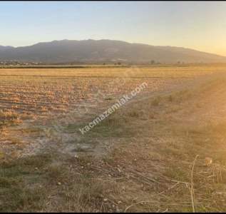 Kaçmaz Emlak Nazilliden Kuyucakta Satılık Fırsat Tarla 2