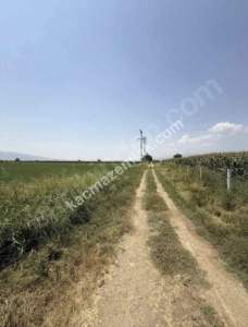 Arslanlıda Satılık Verimli Tarla 1