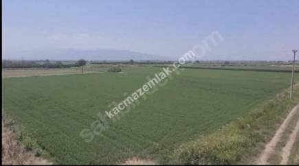 Arslanlıda Satılık Verimli Tarla 3