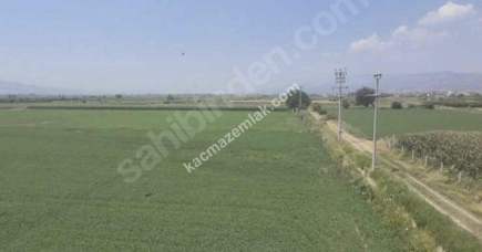 Arslanlıda Satılık Verimli Tarla 4