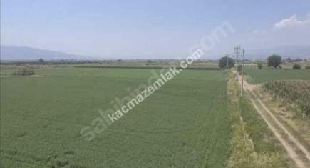 Arslanlıda Satılık Verimli Tarla 2