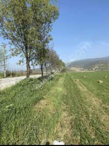 Kaçmaz Emlak Nazilliden Satılık Verimli Tarla 1