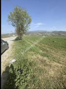 Kaçmaz Emlak Nazilliden Satılık Verimli Tarla 2