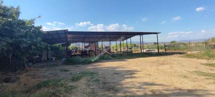 Aydın Sultanhisar Atça'Da Satılık Hobi Bahçesi