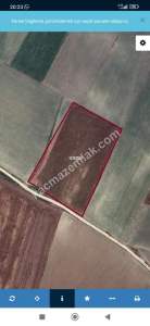 Balıkesir Bandırma Akça Pınar Köyü Satılık Tarla 1