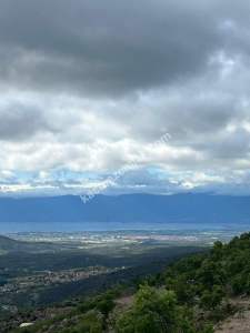 Balıkesir Burhaniye Yaylacık Köyünde, 1.452 M2 Arsa 7