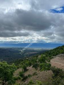 Balıkesir Burhaniye Yaylacık Köyünde, 1.452 M2 Arsa 15