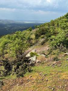 Balıkesir Burhaniye Yaylacık Köyünde, 1.452 M2 Arsa 12