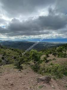 Balıkesir Burhaniye Yaylacık Köyünde, 1.452 M2 Arsa 6