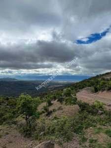 Balıkesir Burhaniye Yaylacık Köyünde, 1.452 M2 Arsa 5