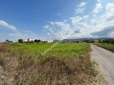 Gönen Kınalar Köyü, 2.500 M2, Satılık Arsa 8