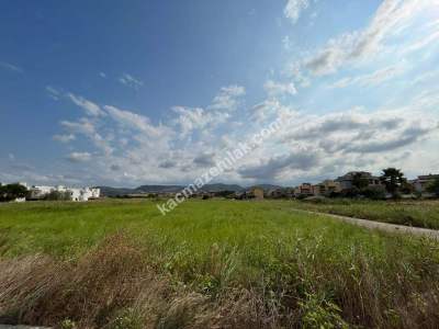 Gönen Kınalar Köyü, 2.500 M2, Satılık Arsa 1