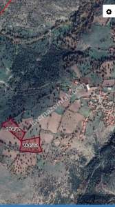 İvrindi Pelitören Mah Satılık 7995 M2 Kelepir Tarla 3