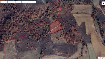 Bilecik Bozüyük Günyarık Köyü Satılık Tarla 1