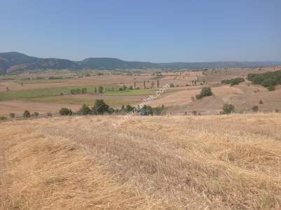 Bilecik Bozüyük Kovalıca Köyü Satılık Tarla 5