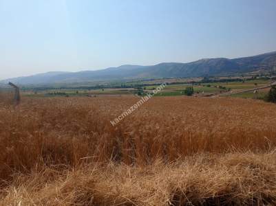 Bilecik Bozüyük Kovalıca Köyü Satılık Tarla 3