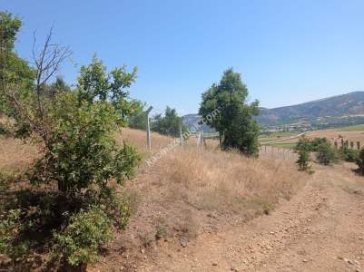 Bilecik Bozüyük Kovalıca Köyü Satılık Tarla 2