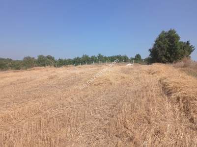 Bilecik Bozüyük Kovalıca Köyü Satılık Tarla 4