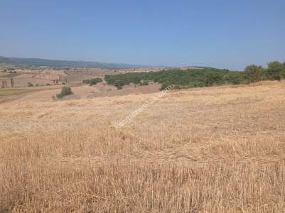 Bilecik Bozüyük Kovalıca Köyü Satılık Tarla 6