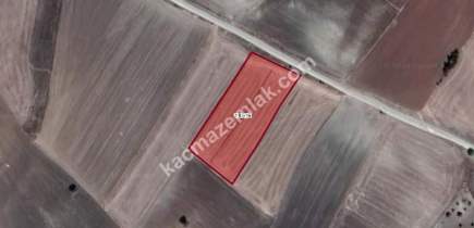 Bozüyük Osb'ye Ve Bursa Yoluna Yakın Yola Cephe 4977M2 5