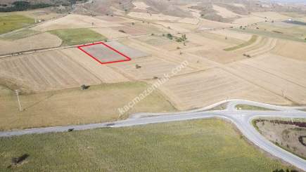 Bozüyük Osb'ye Ve Bursa Yoluna Yakın Yola Cephe 4977M2 19