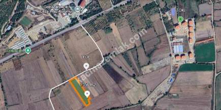 Gölpazarı Mücavir Alanında 6.356 M2 Satılık Tarla