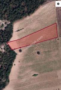 Bilecik Gölpazarı Acil Satılık Arsa