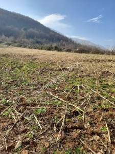 Bilecik Merkez Karaağaç Köyü Satılık Tarla 2