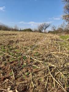 Bilecik Merkez Karaağaç Köyü Satılık Tarla 3