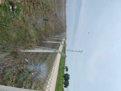 Bilecik Osmaneli ' De Yatırımlık Tarla 9