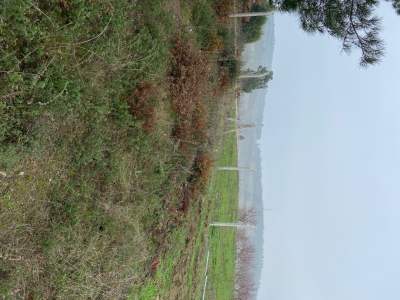 Bilecik Osmaneli ' De Yatırımlık Tarla 22