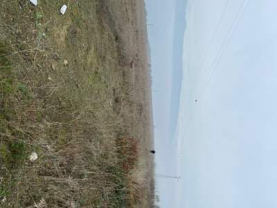 Bilecik Osmaneli ' De Yatırımlık Tarla 20