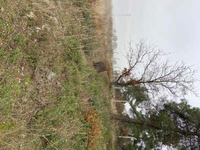 Bilecik Osmaneli ' De Yatırımlık Tarla 21