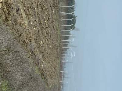 Bilecik Osmaneli ' De Yatırımlık Tarla 15