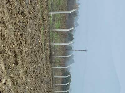 Bilecik Osmaneli ' De Yatırımlık Tarla 12