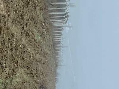 Bilecik Osmaneli ' De Yatırımlık Tarla 16