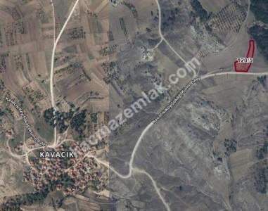 Bilecik Yenipazar Kavacık 3.948M2 Ceviz Tarlası Satılık 4