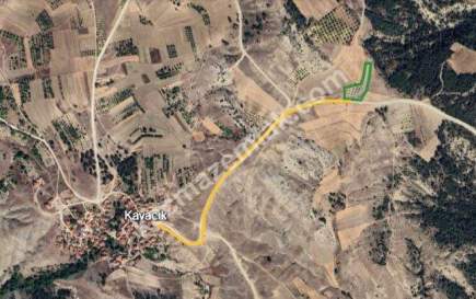 Bilecik Yenipazar Kavacık 3.948M2 Ceviz Tarlası Satılık 2