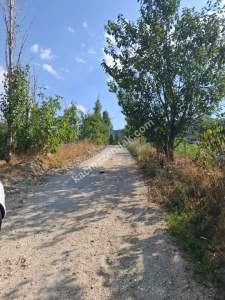 Burdur Ağlasun Yeşilbaşköy 2 Tapu Satılık 4