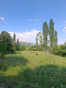 Burdur Ağlasun Yeşilbaşköy 2 Tapu Satılık 12