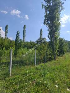 Burdur Ağlasun Yeşilbaşköy 2 Tapu Satılık 10