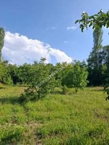 Burdur Ağlasun Yeşilbaşköy 2 Tapu Satılık 6