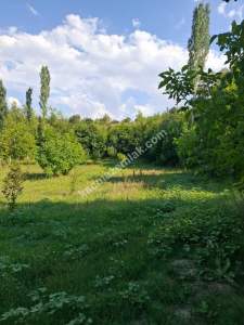 Burdur Ağlasun Yeşilbaşköy 2 Tapu Satılık 9