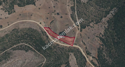 Burdur Bucak Taşyayla'da Satılık 6750 M2 Tarla 1