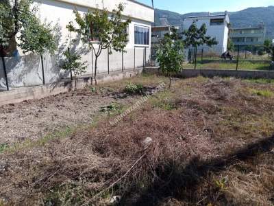 Bursa Gemlik Gençali’de - Köşe Konumda Satılık Arazi 17