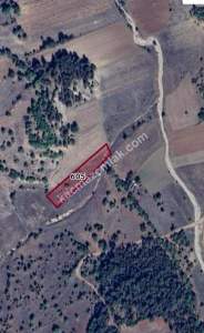 Bursa Harmancık Gülözü Mahallesi Satılık 1350 M2 Tarla