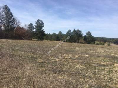 Bursa Harmancık Kepeklidere Mh Satılık 9200 M² Tarla 6