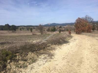 Bursa Harmancık Kepeklidere Mh Satılık 9200 M² Tarla 5