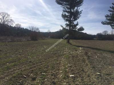 Bursa Harmancık Kepeklidere Mh Satılık 9200 M² Tarla 8